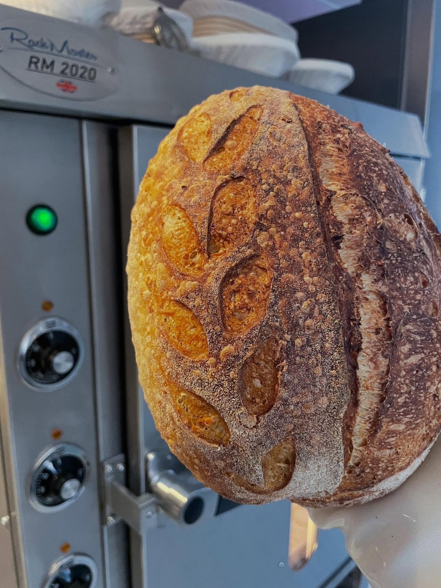 First bake in the mighty RM2020 
Steep learning curve for me switching to a professional oven. However, I love to learn. I&rsquo;d overproofed 3 loaves 😔 it happens.. but these little porridge loaves came out great. 
I&rsquo;m so excited to crack on