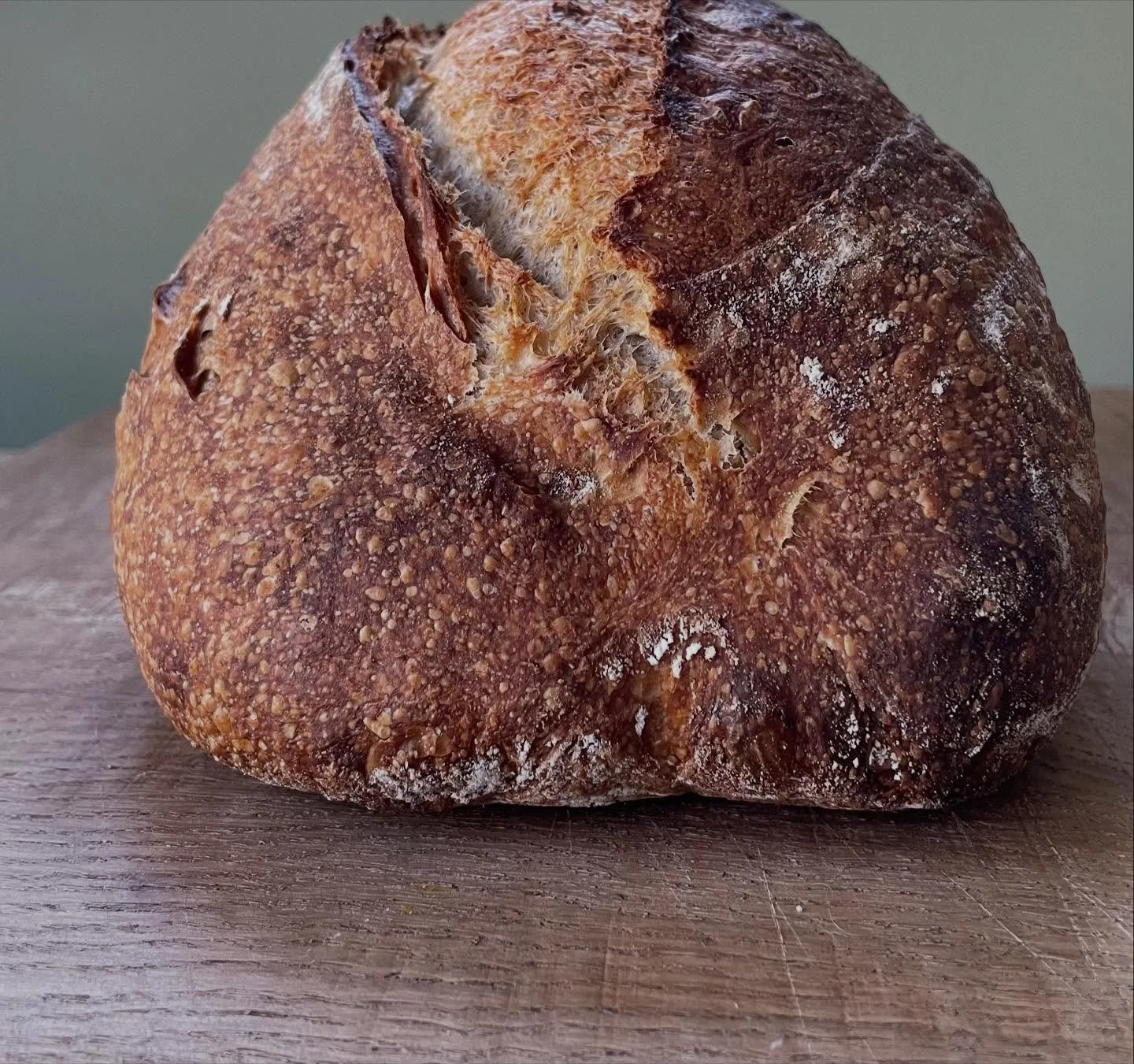 Thanks @campbell2664 for making the oven that means I can bake these! 

#wisteriacottagesourdough #rm2020 #sourdough #microbakery #realbread