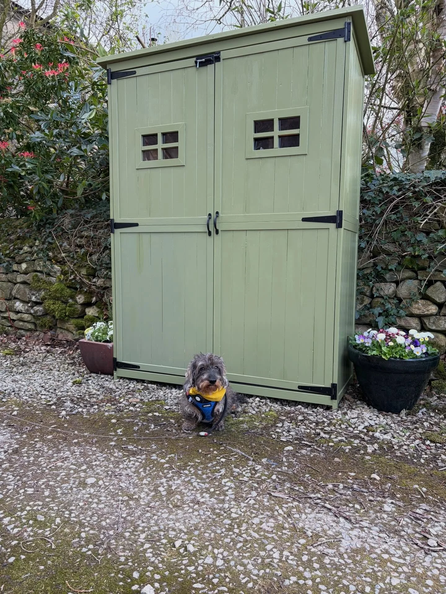 My favourite visitor to the bread shed on a Friday! Little Otto was Bob&rsquo;s best friend and Otto still looks for him 2.5 years on. I find myself apologising to him that Bob&rsquo;s not here anymore, though we wish he was every day.