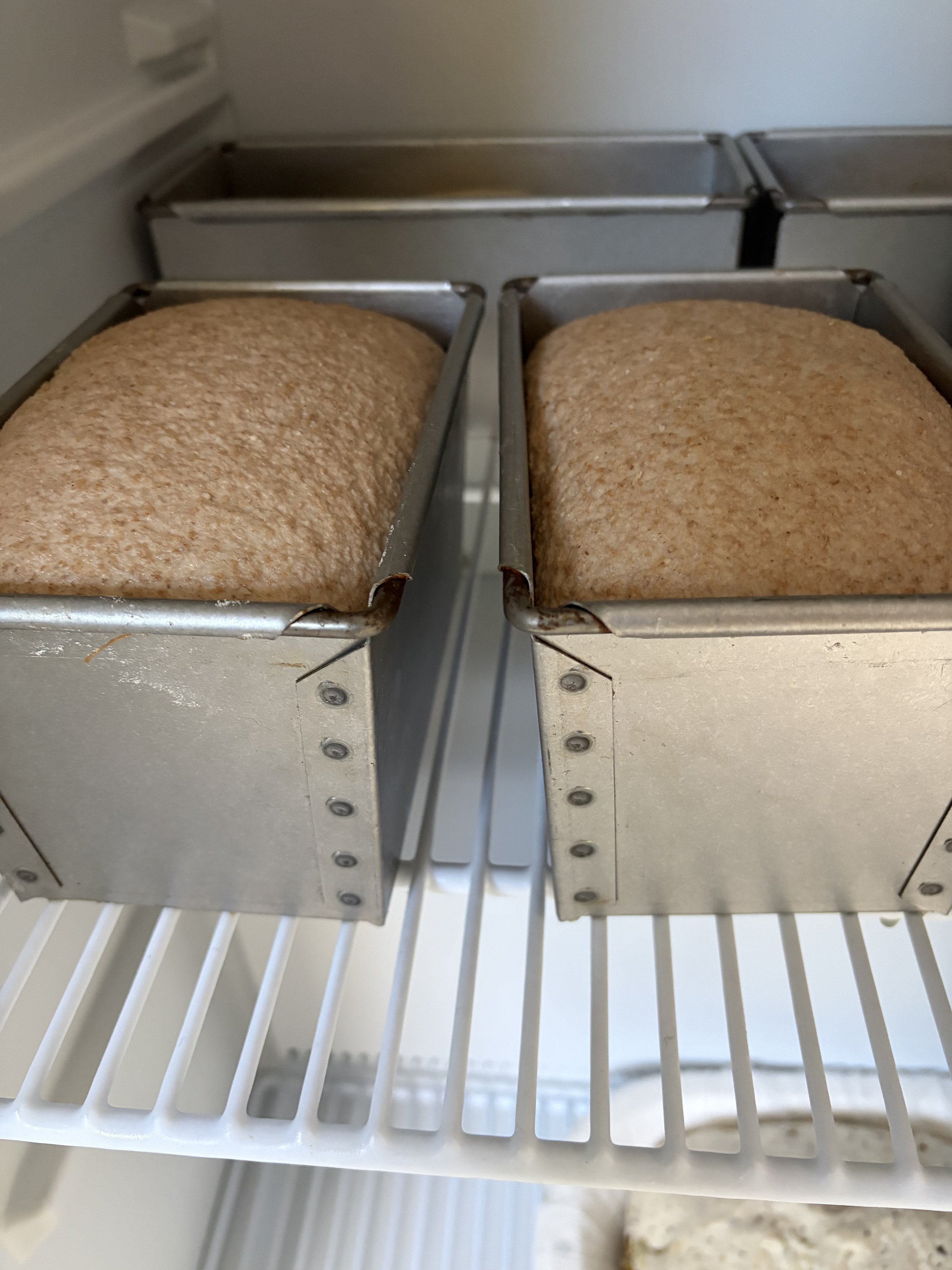 100% wholemeal sourdough tin loaf