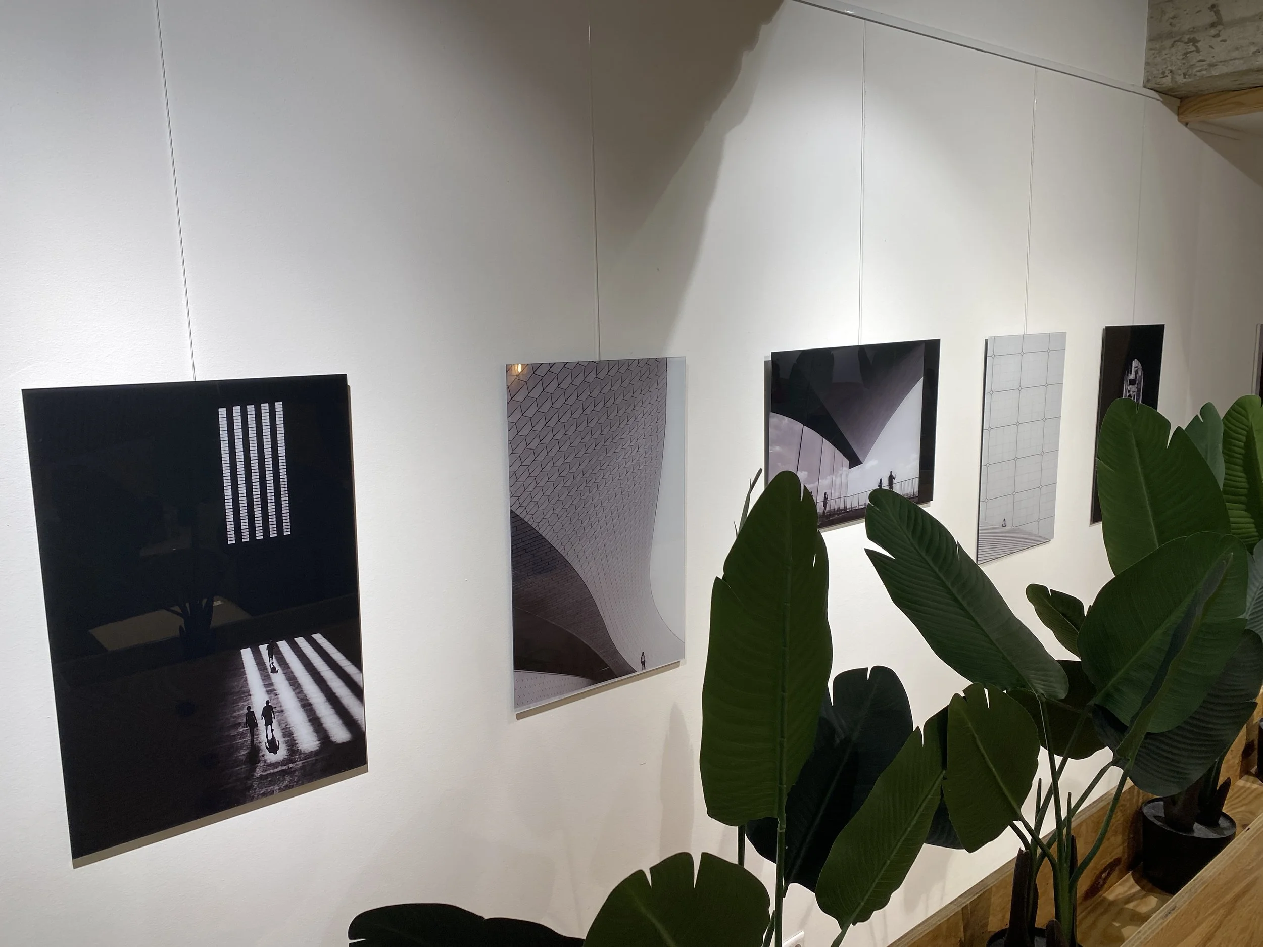 Neue Bilder für meine Ausstellung in Vechta