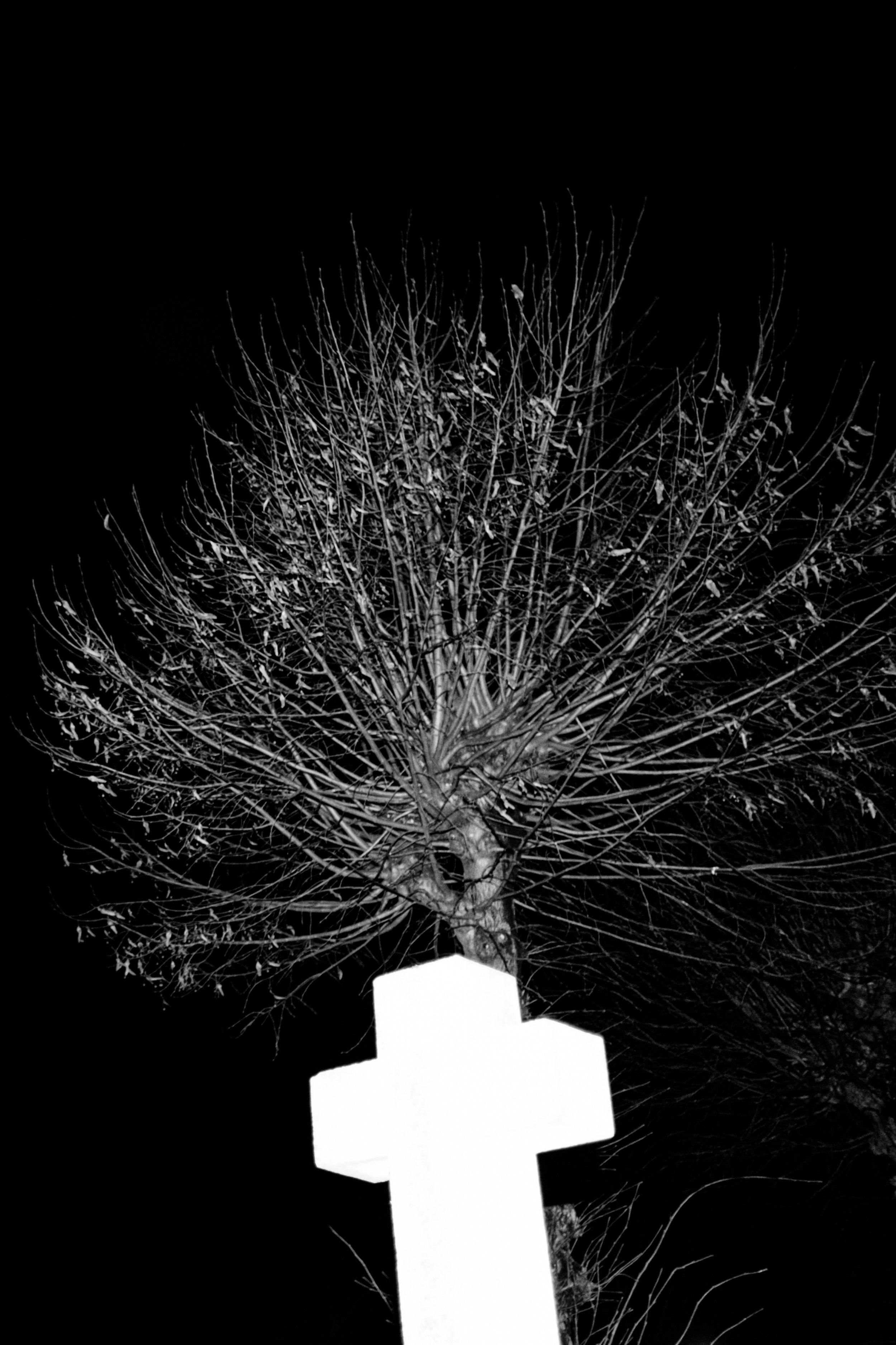 Mystisches Vechta_022.jpg