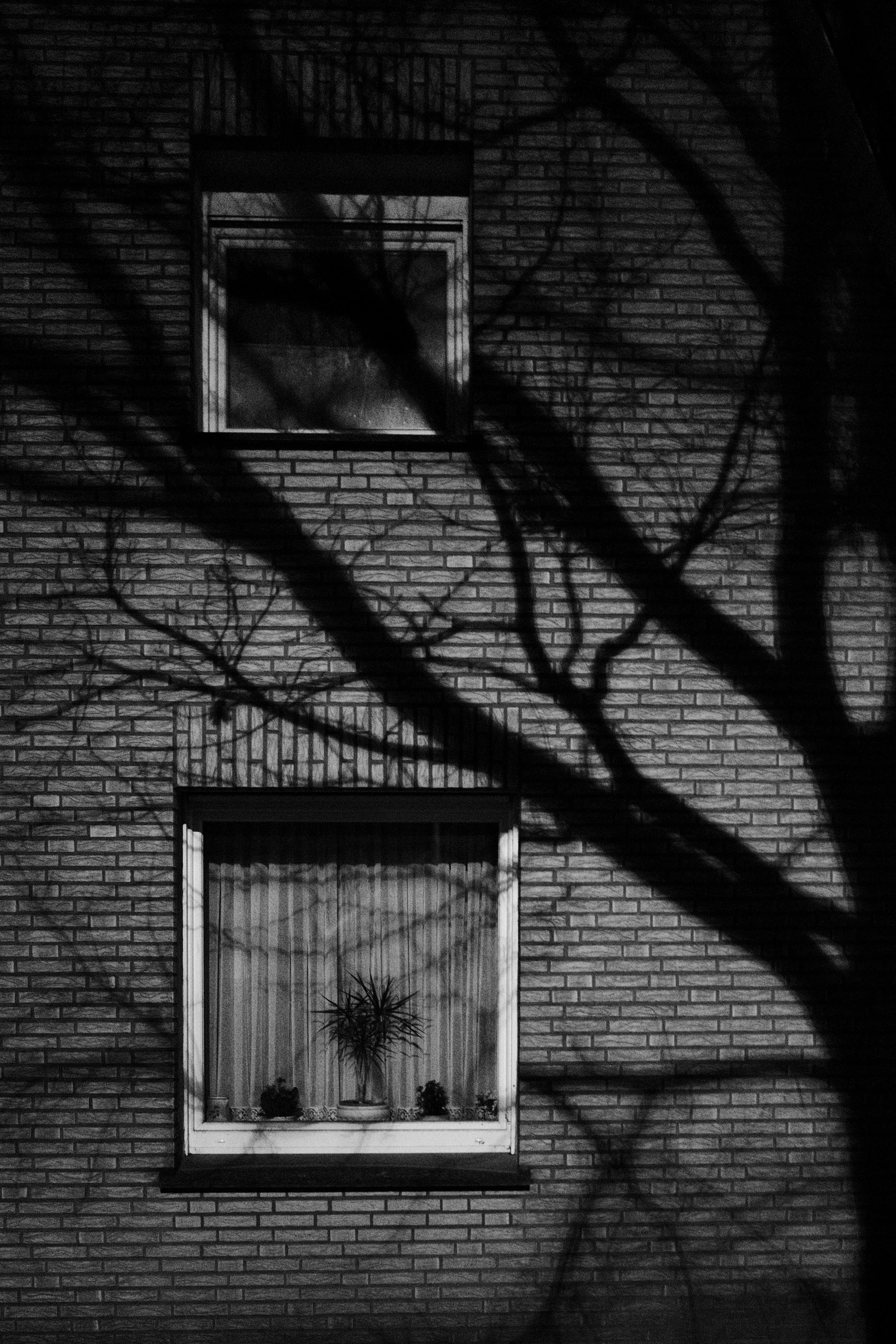 Mystisches Vechta_005.jpg