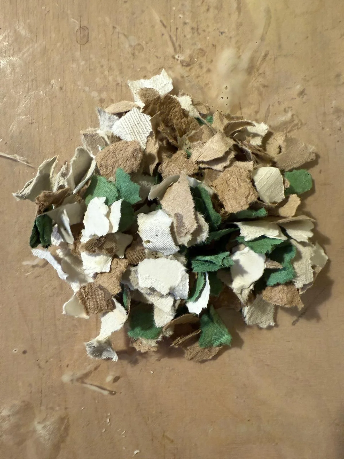 WhatsApp Image 2026-03-17 at 12.10.35.jpeg