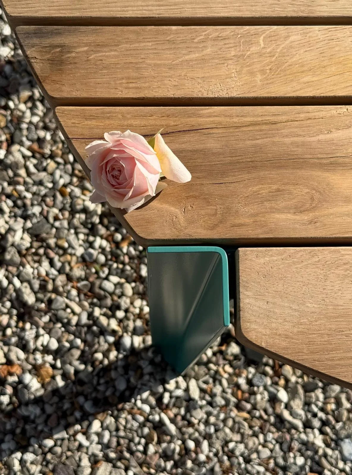 WhatsApp Image 2026-02-17 at 12.01.05 (1).jpeg