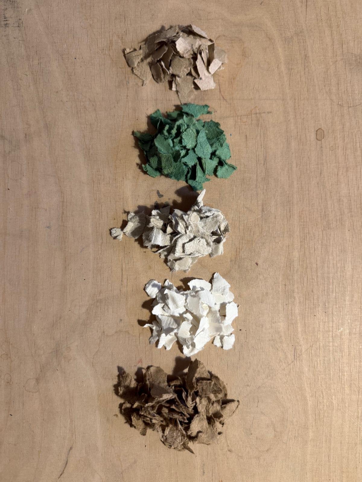 WhatsApp Image 2026-03-17 at 12.10.34.jpeg