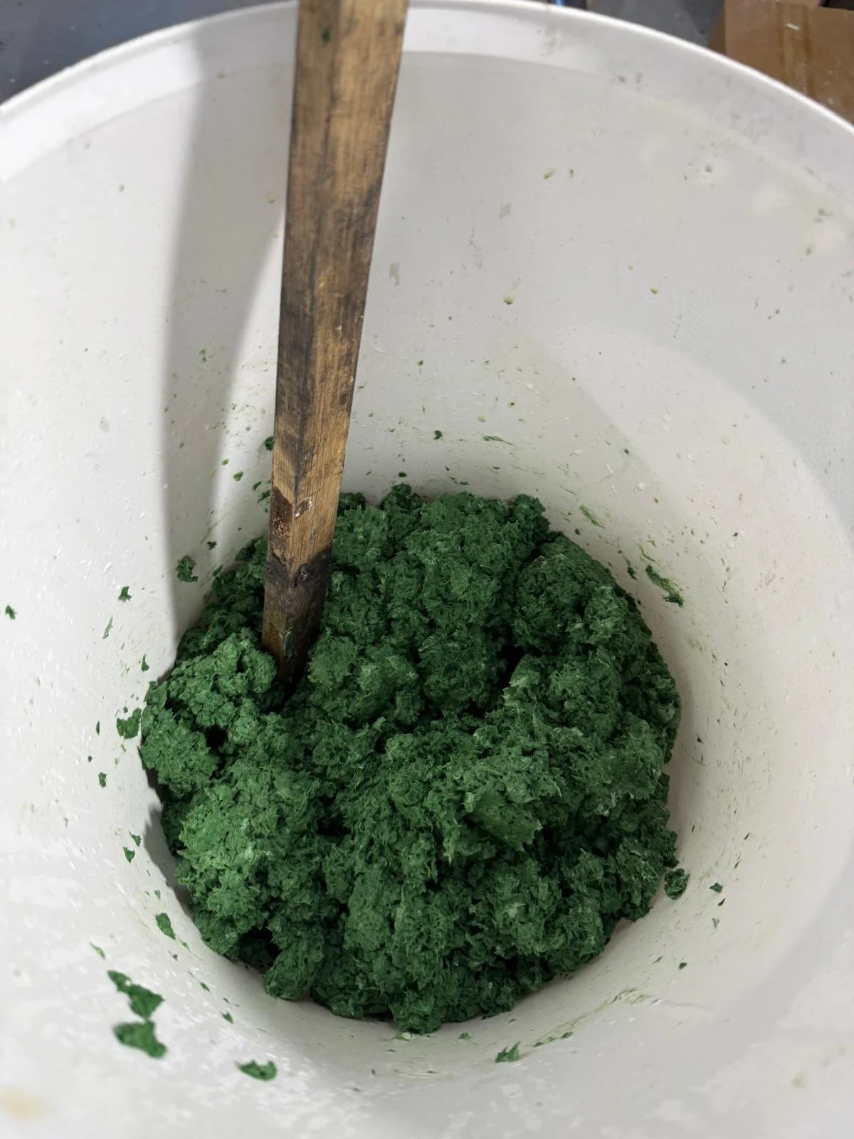 WhatsApp Image 2026-03-17 at 12.10.35 (3).jpeg