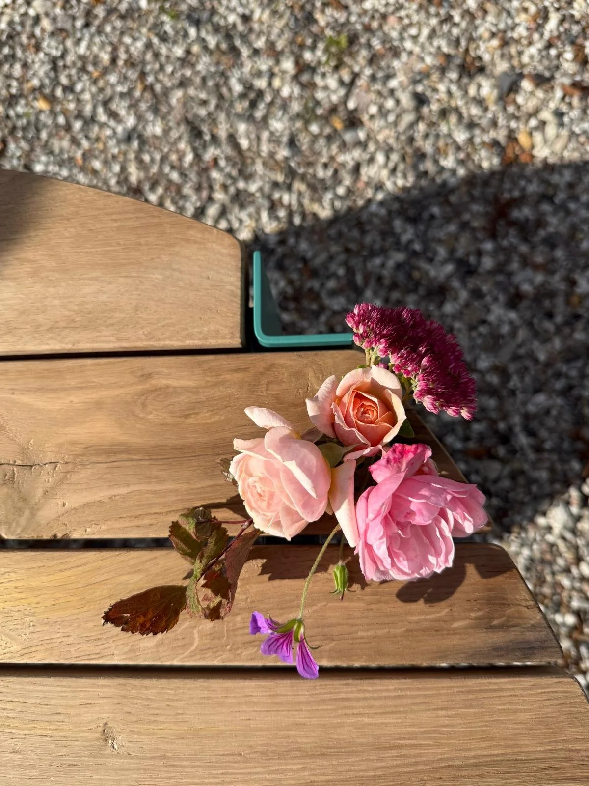 WhatsApp Image 2026-02-17 at 12.00.19 (2).jpeg