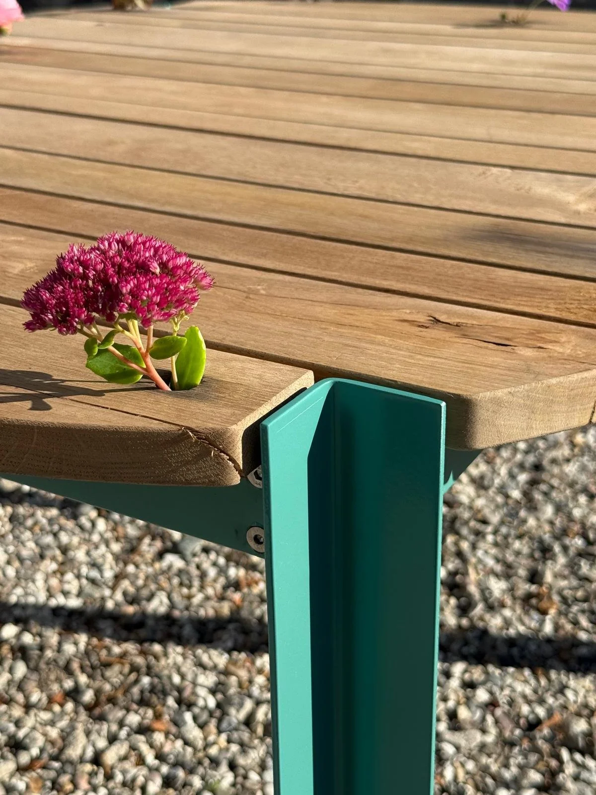 WhatsApp Image 2026-02-17 at 12.01.05.jpeg