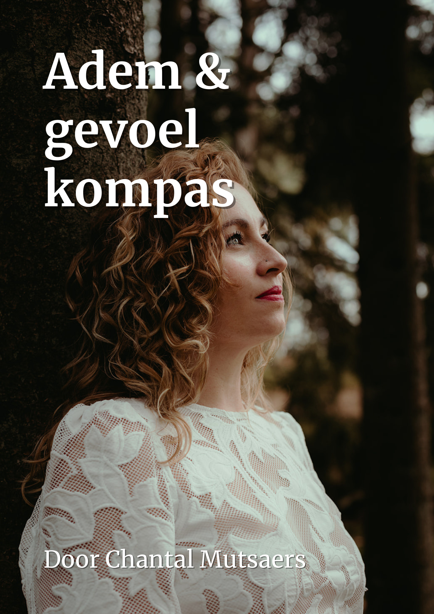 Versie 2.0 adem en gevoel kompas.png