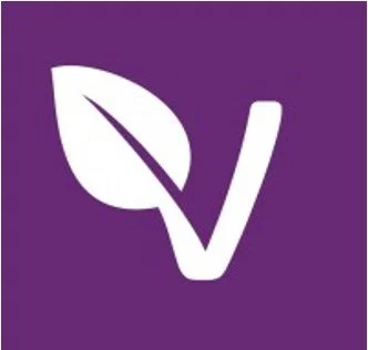 Interim Group Commercial Director - Vibrant Foods