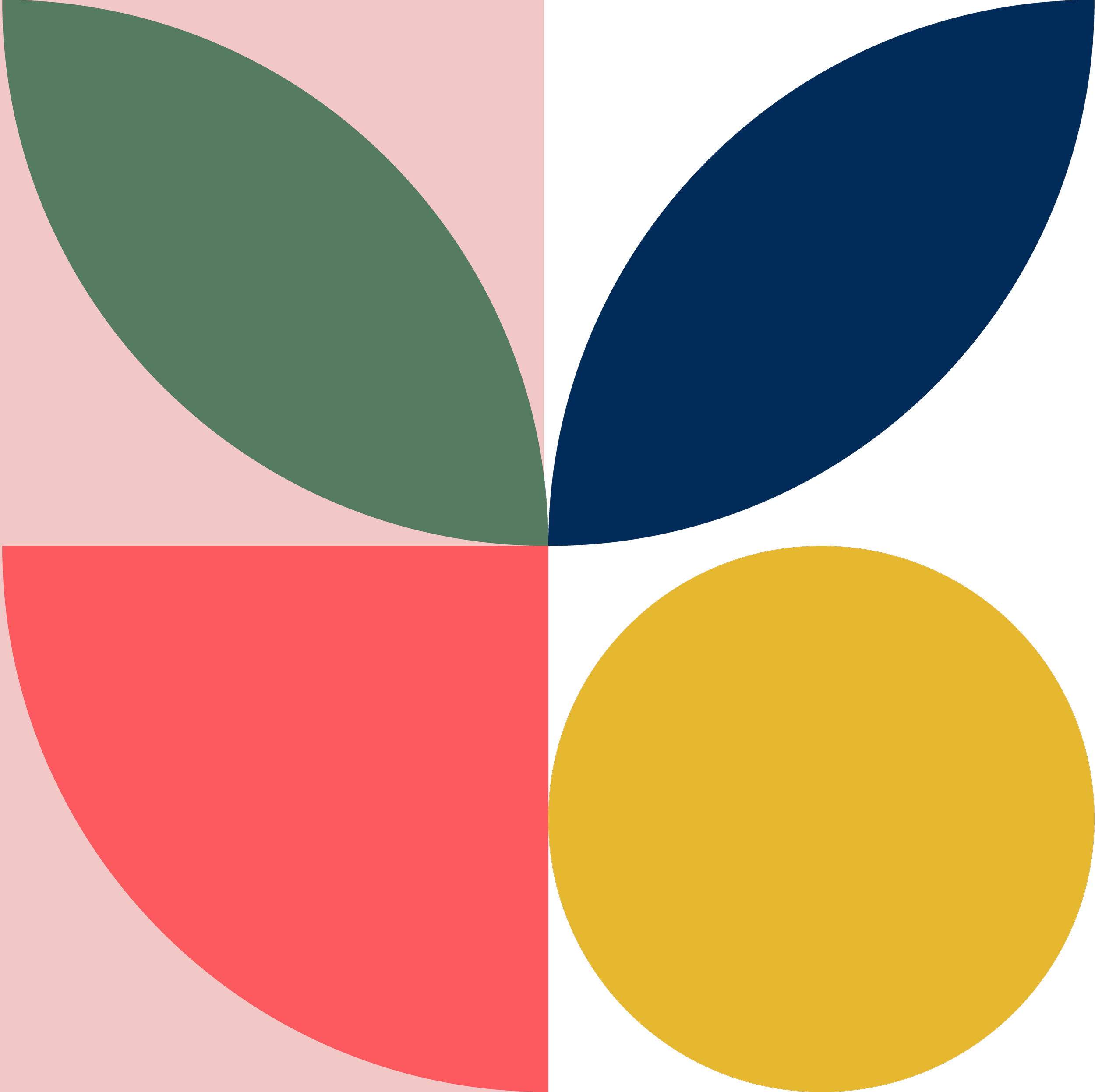 Abstract geometric design with four quadrants, each containing large leaf-like shapes in muted green, dark blue, pink, and gold colors, on contrasting backgrounds.