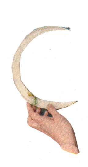 Een collage van Hannelore Dreher met een halvemaanvormige sikkel en een hand