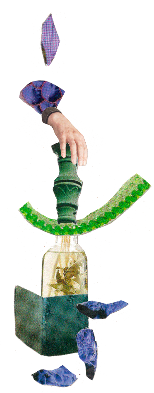 Een collage van diverse losse objecten en handen, waaronder een hand die een groene beker vasthoudt, een sok, een stuk van een zeeschuim, een oude jampot met insecten, en natuur-achtige materialen.