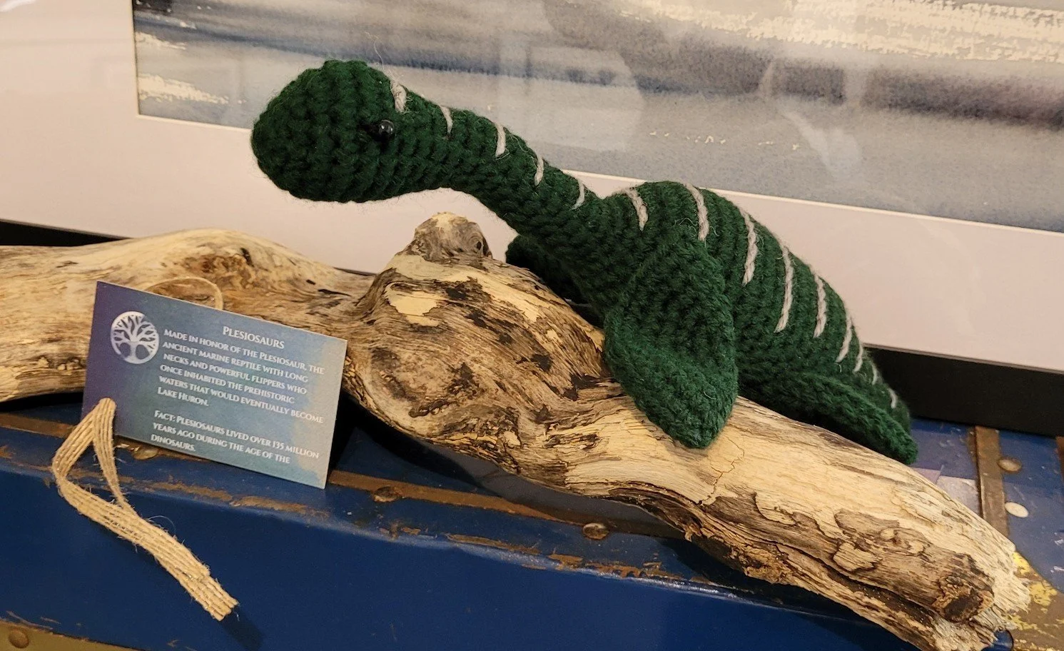 Plesiosaurs - Because Knit happens!