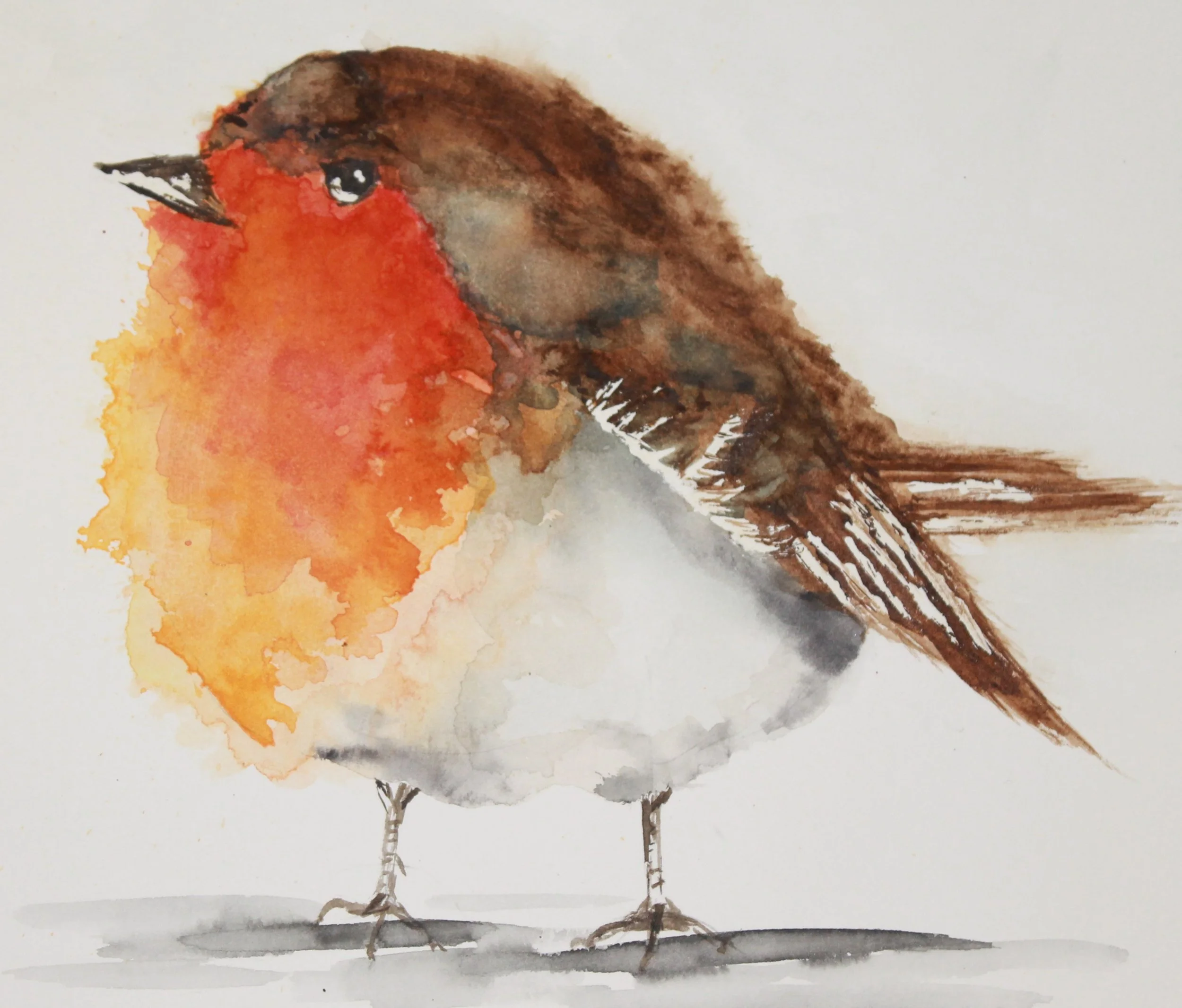 Large Bird Prints