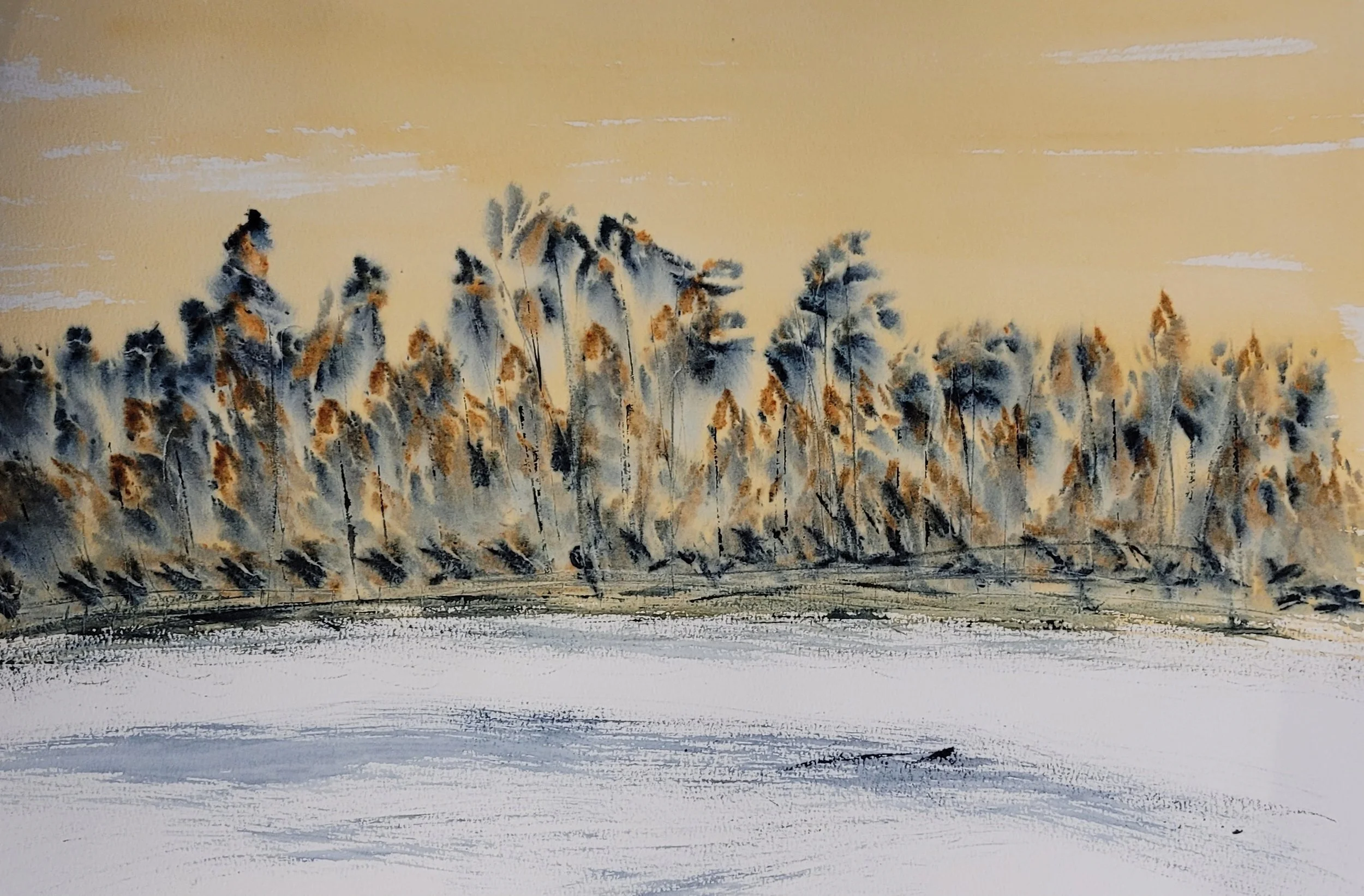 Seasons in Contrast II