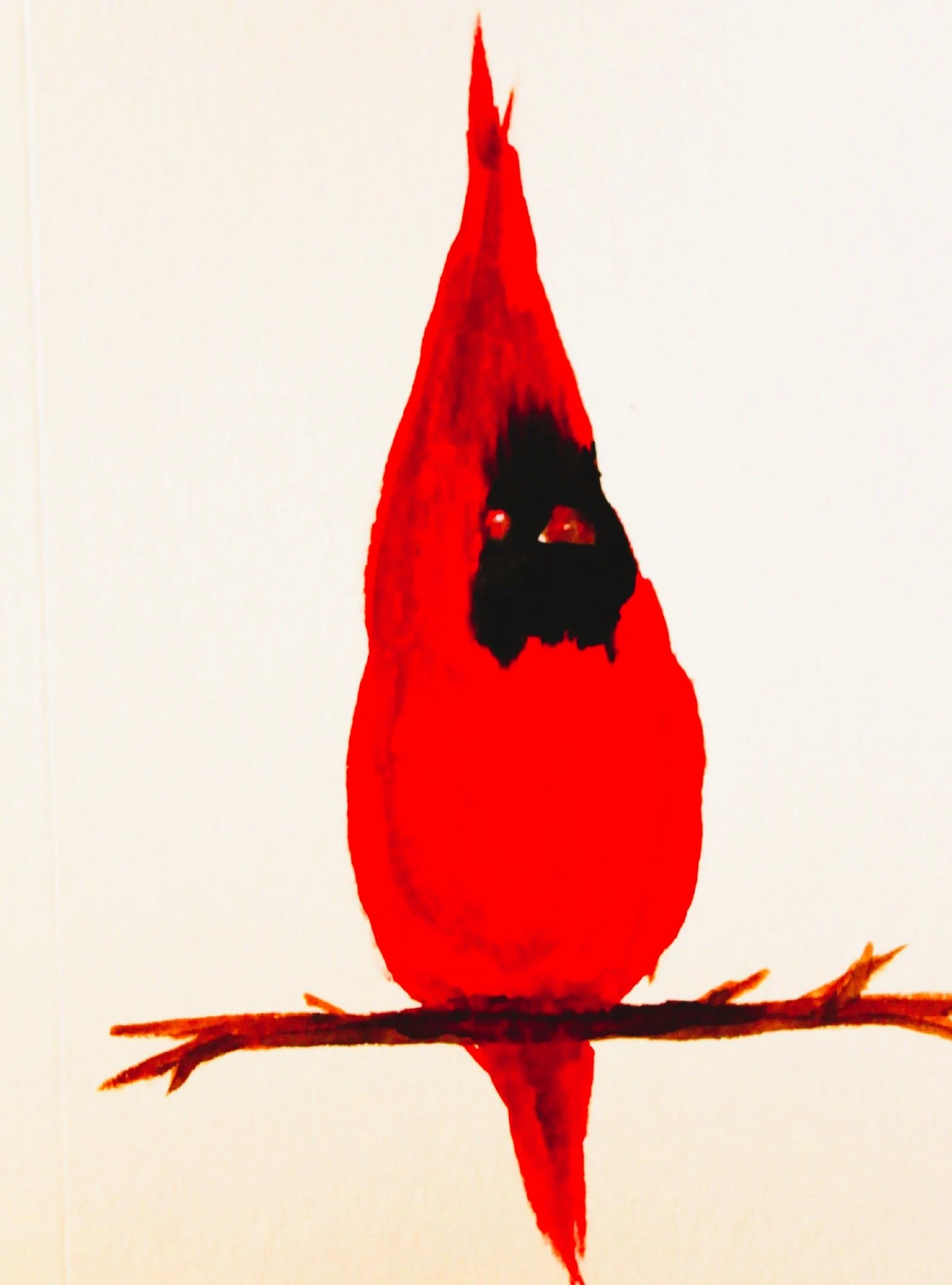 Cardinal cale.JPG
