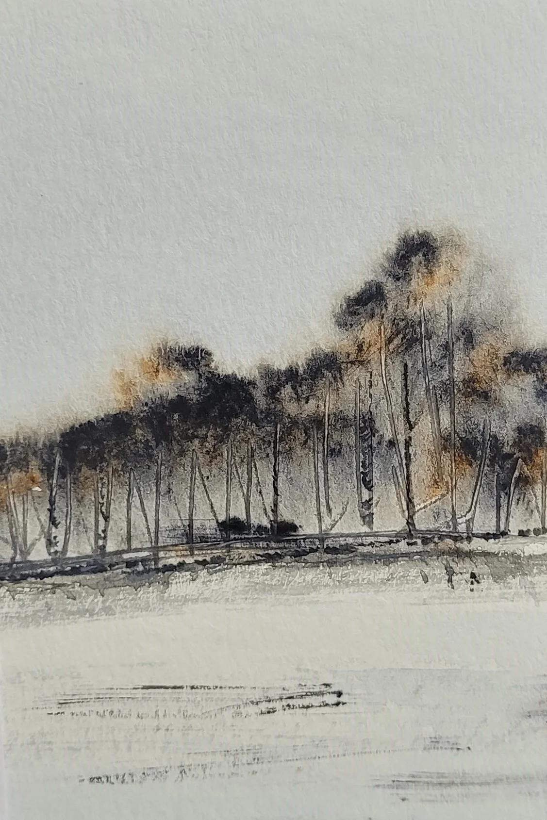 Reflections of Huron County I