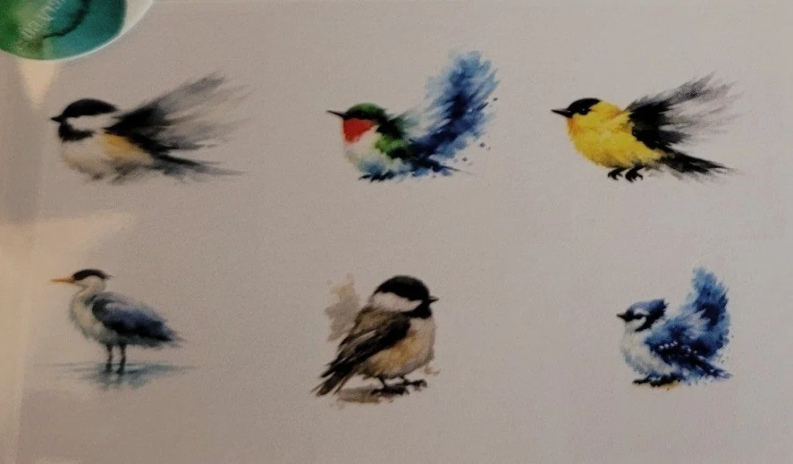 Watercolour Print Cards & Envelopes