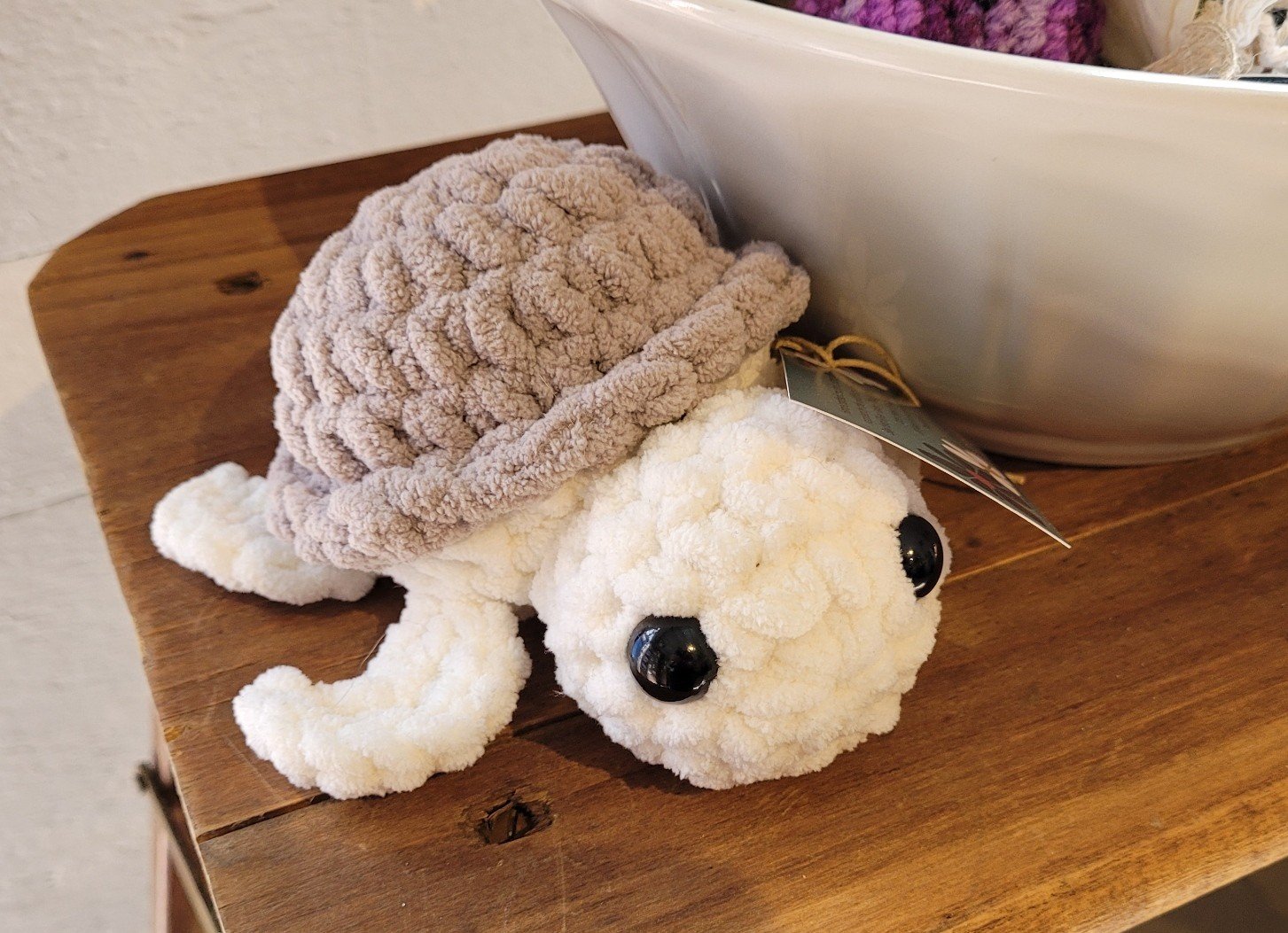 turtle.jpg