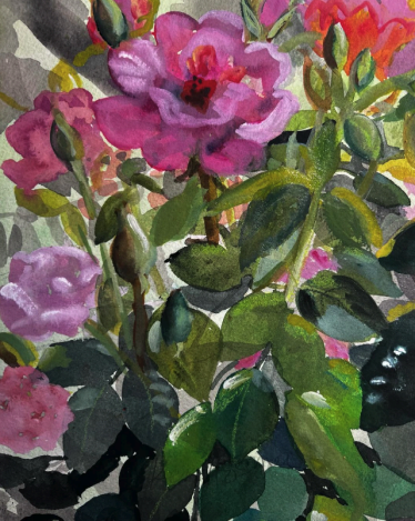  DC Roses  
Mixed media on paper 
8”x 12” 
2024