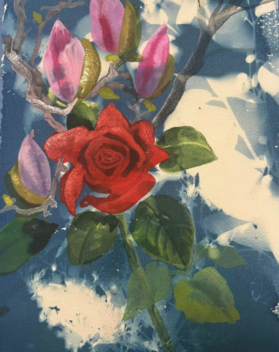  Homage to Enid  
Cyanotype, Mixed media on Paper 
9”x12” 
2024