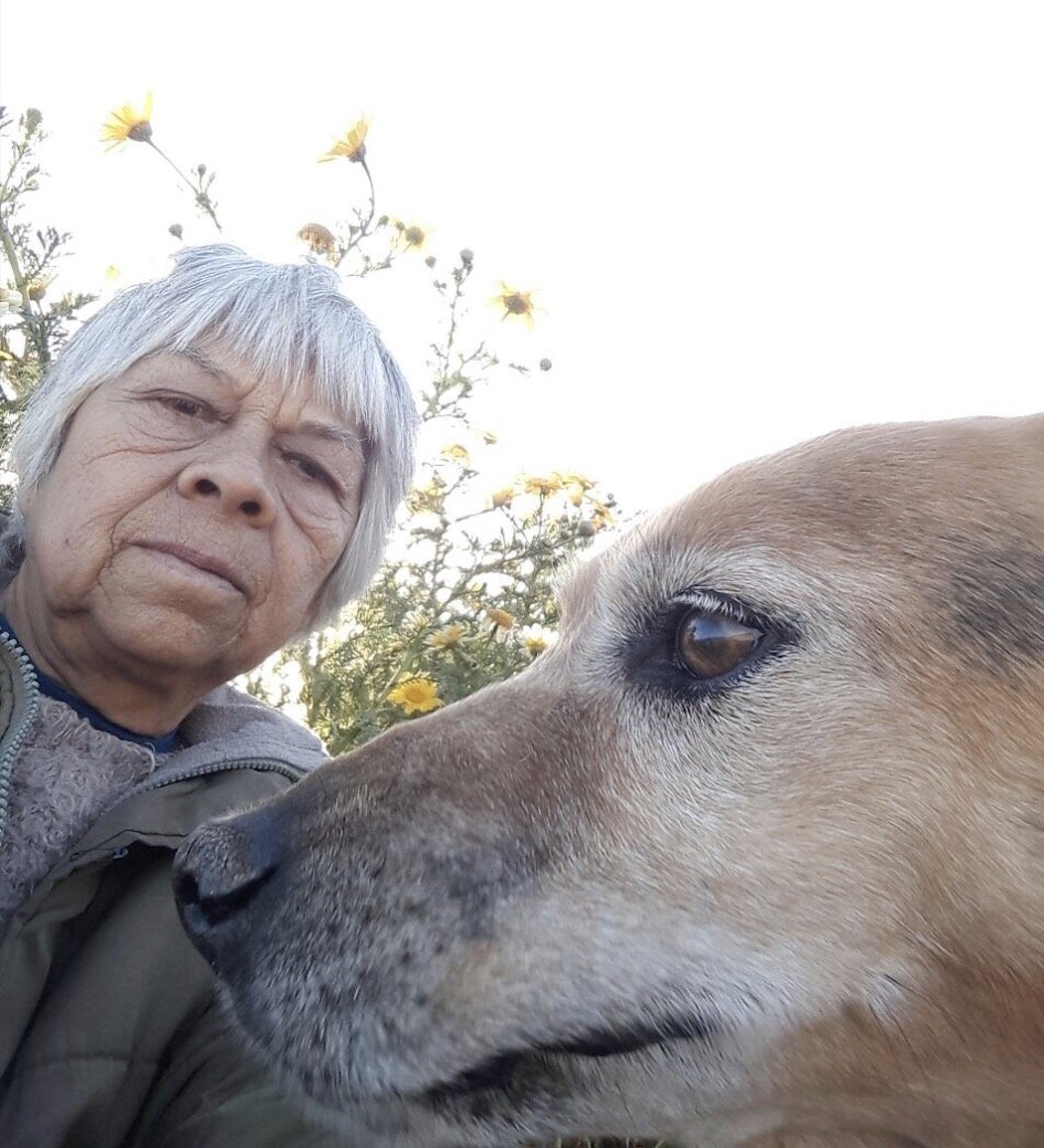 Veterinaria Puente Alto, Veterinaria Pirque