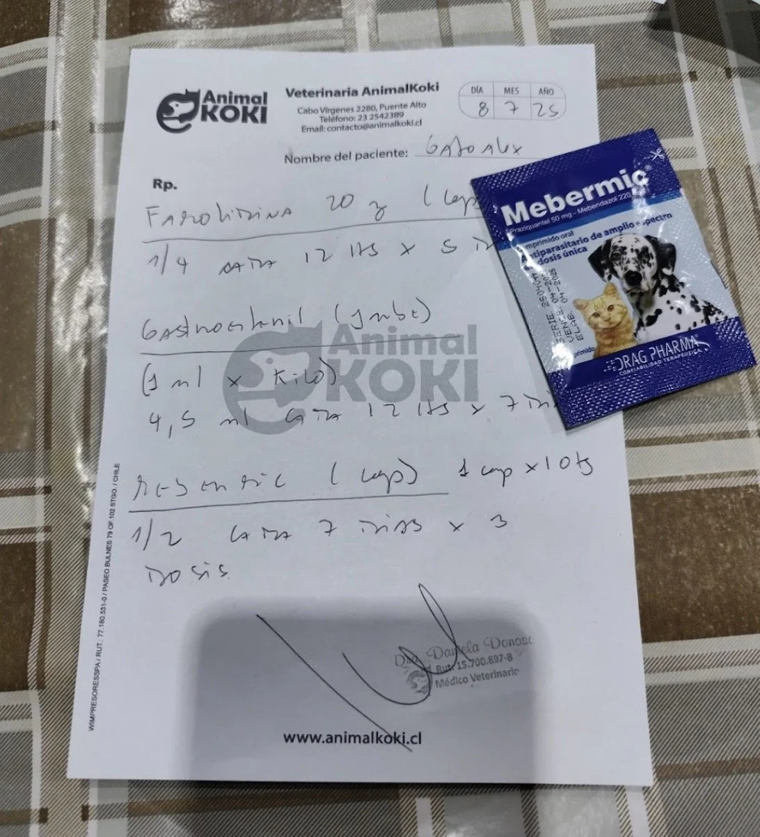 Veterinaria Puente Alto, Veterinaria Las Vizcachas