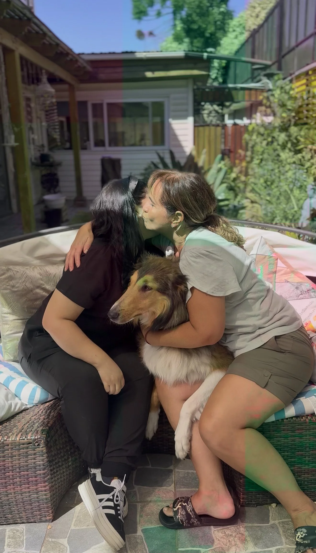 Veterinaria Puente Alto, veterinaria Pirque, Neurologia Veterinaria