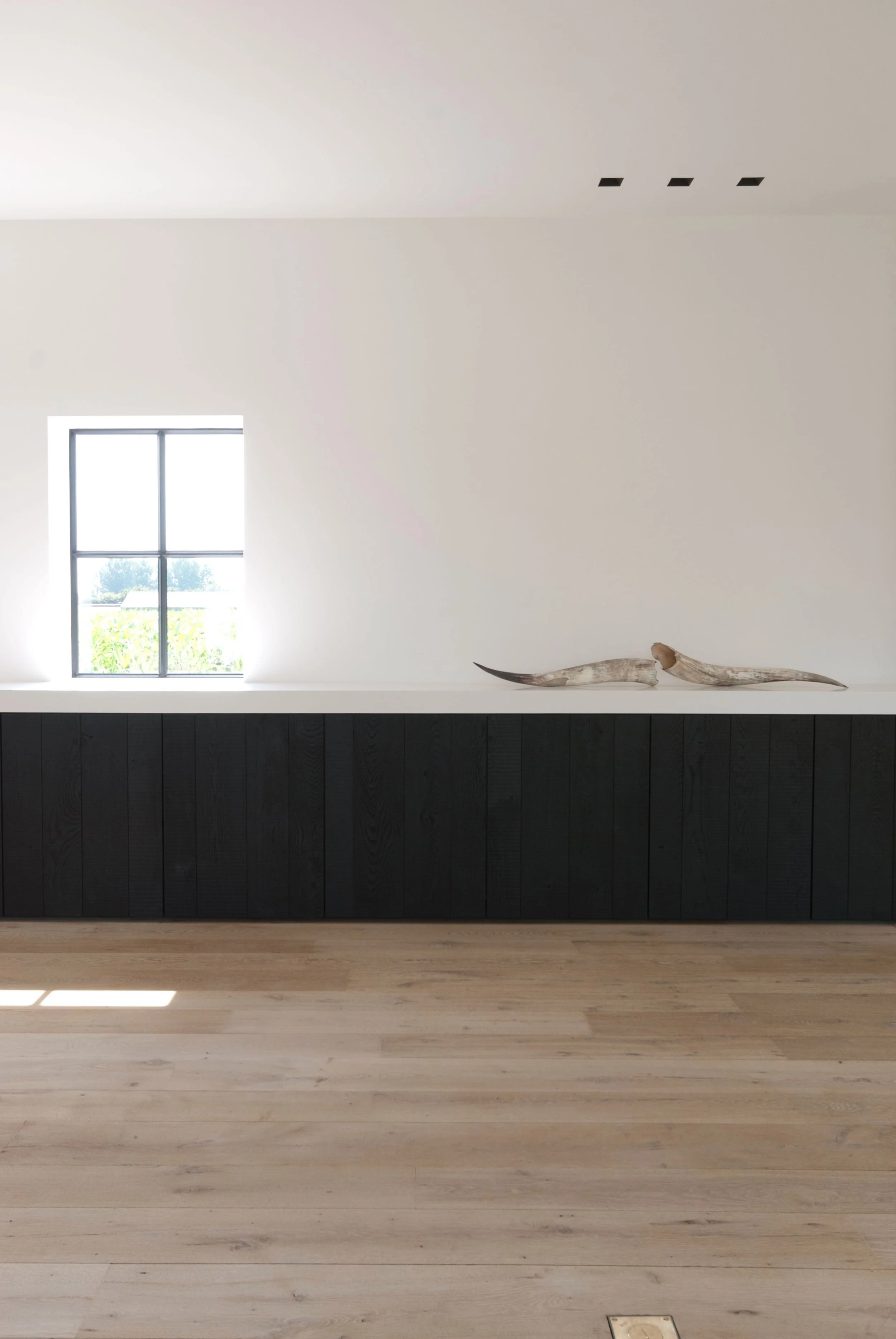 WHI VHDR Bazel 3.jpeg