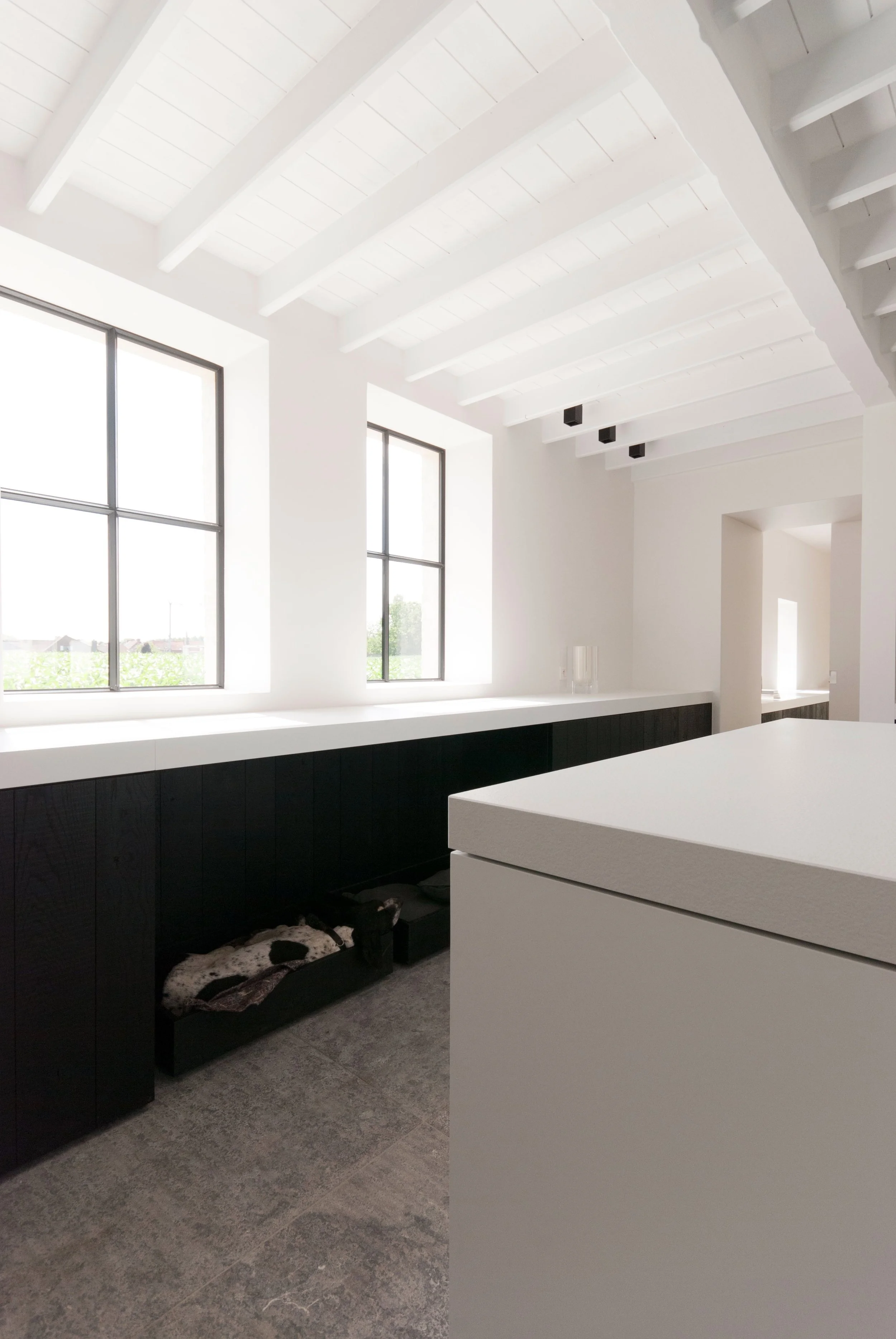 WHI VHDR Bazel 4.jpeg