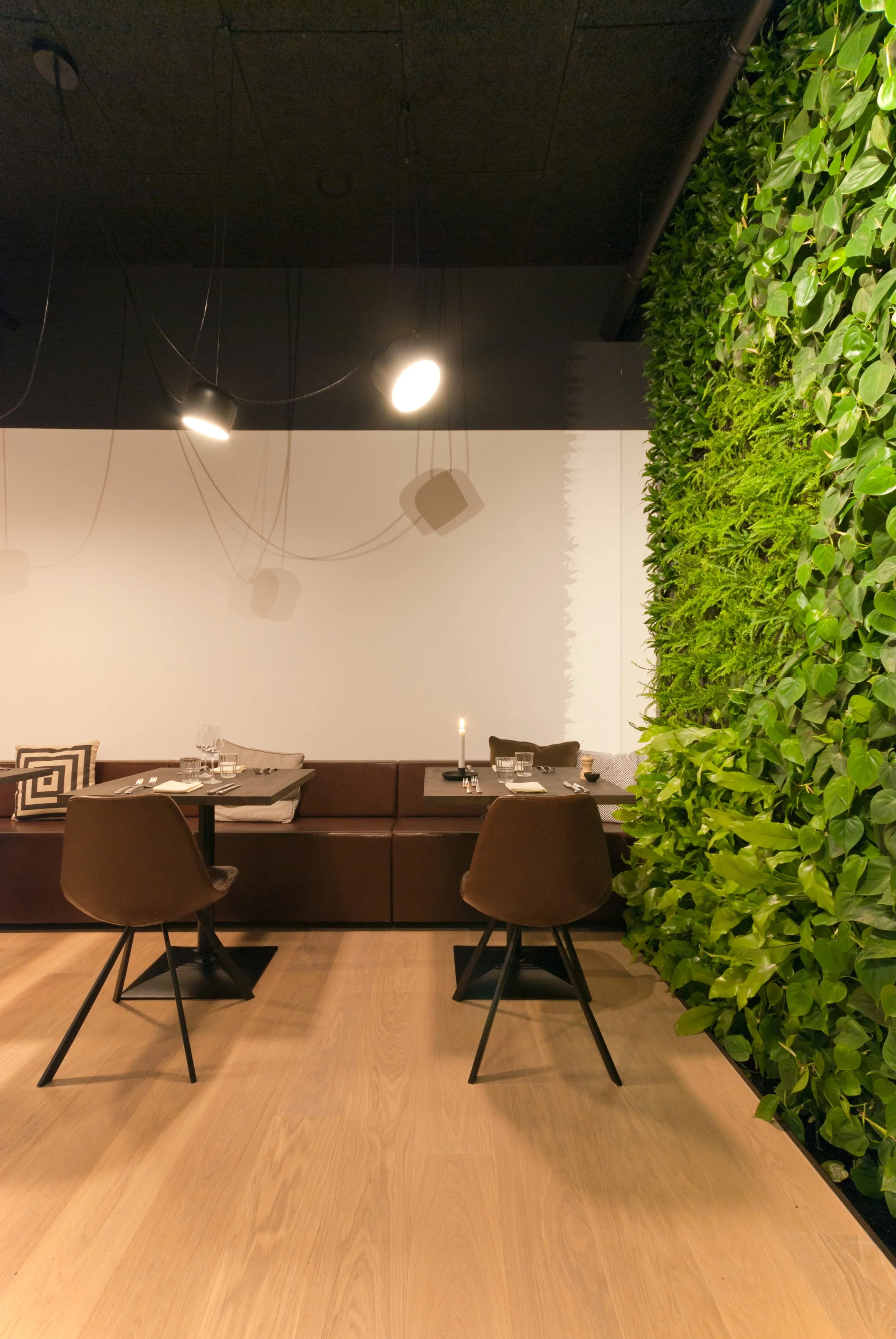 WHI VOS Lokeren 2.jpeg