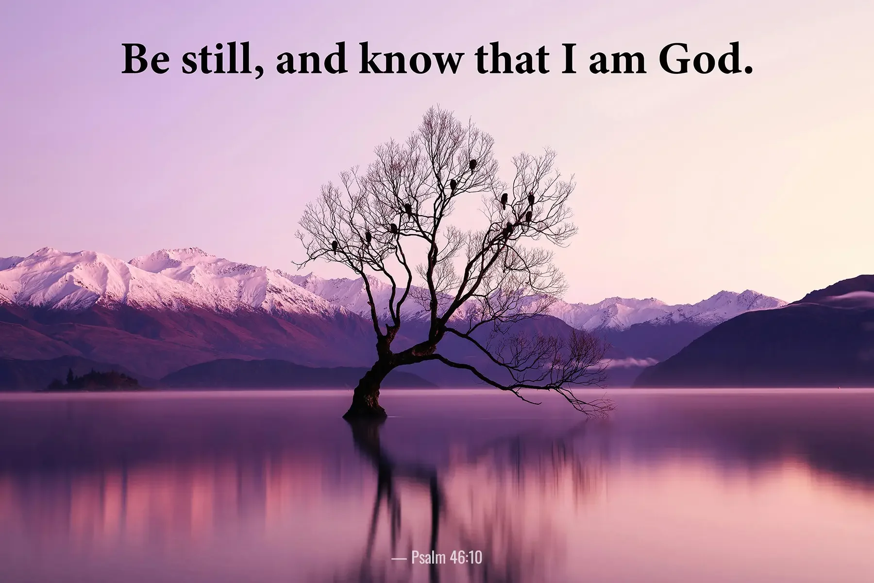 Psalm 46:10 Bible verse over a tranquil purple lake with a solitary tree and mountains.