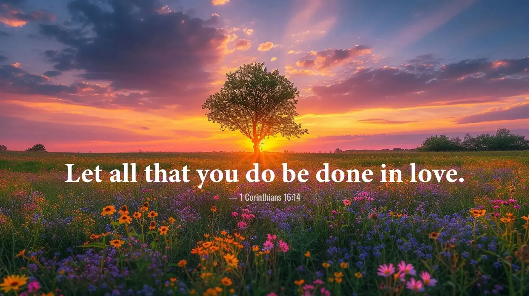 1 Corinthians 16:14 Bible verse with tree and sunset over flowers encouraging love in all things.
