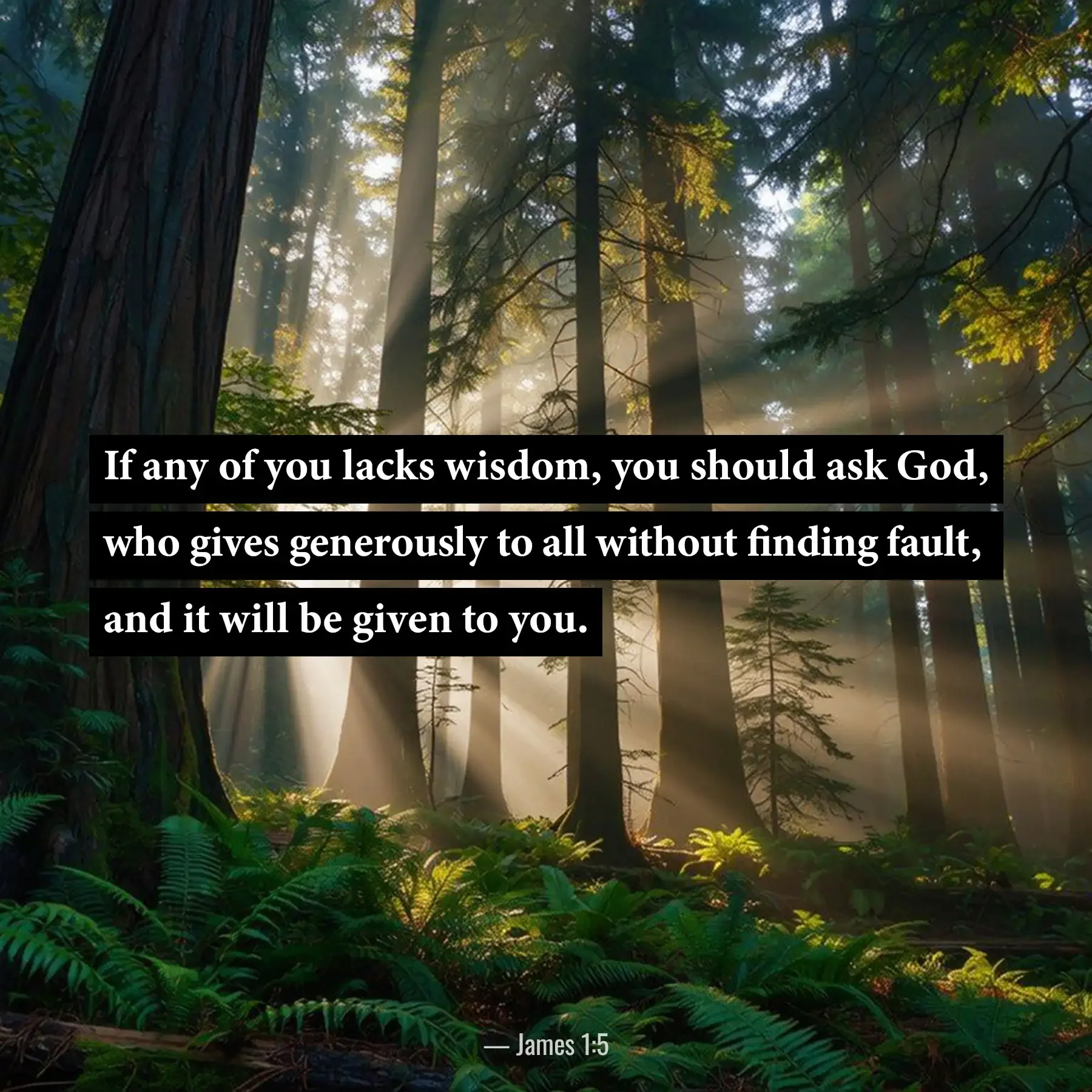 James 1:5 Bible verse with sunbeams shining through a peaceful forest, encouraging believers to ask God for wisdom.