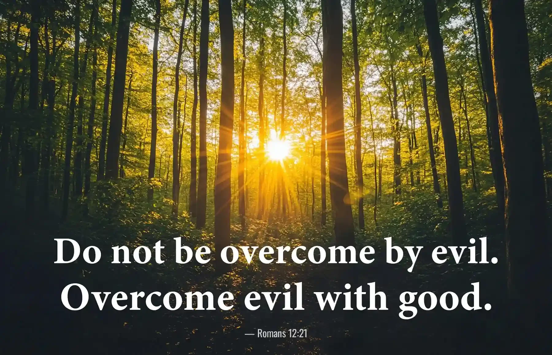 Romans 12:21 Bible verse with sun shining through forest, encouraging overcoming evil with good.