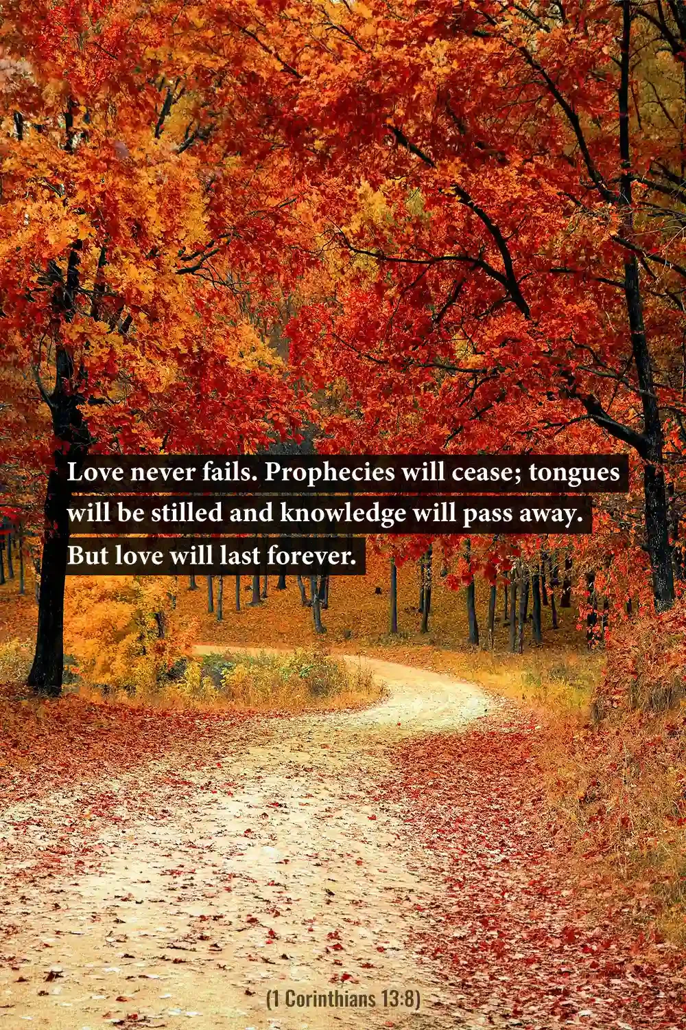 1 Corinthians 13:8 Bible verse along a colorful autumn forest path declaring that love never fails.