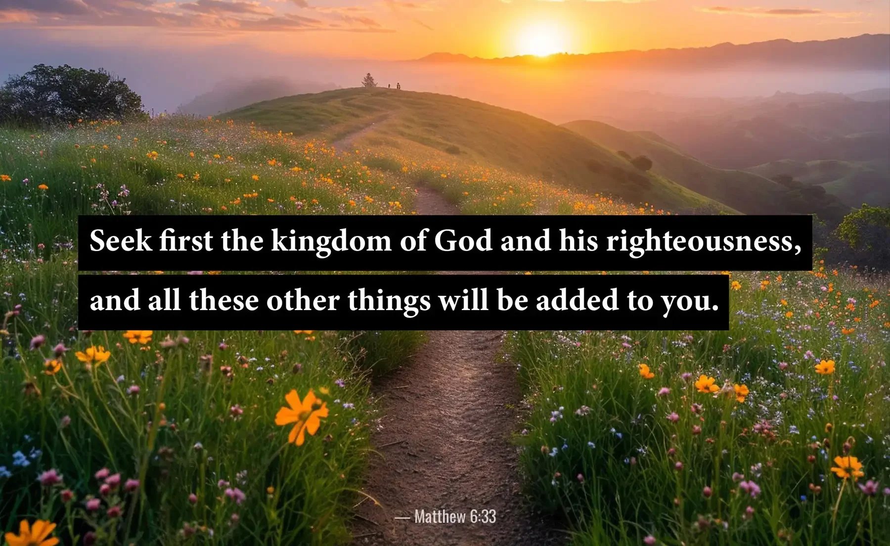 Matthew 6:33 Bible verse over a flower-filled meadow path about seeking God's kingdom first.