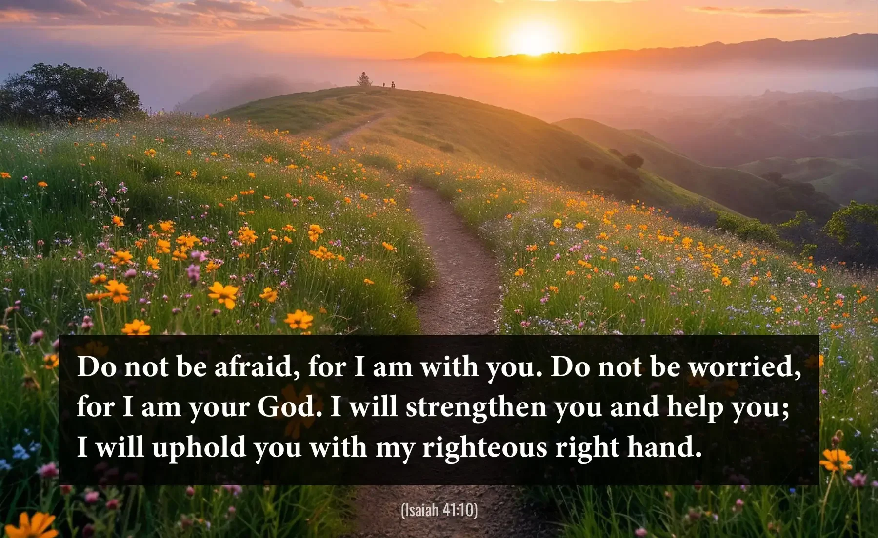 Isaiah 41:10 Bible verse with a sunrise path through wildflowers reminding believers not to fear.