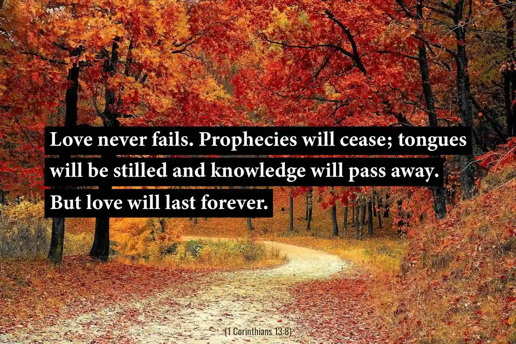1 Corinthians 13:8 Bible verse along an autumn forest path emphasizing everlasting love.