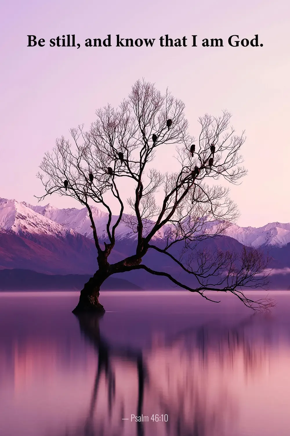 Psalm 46:10 Bible verse with a lone tree reflected in a calm lake encouraging stillness before God.