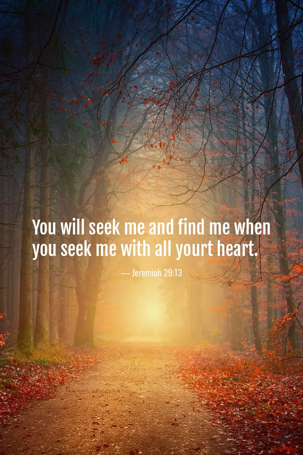 Jeremiah 29:13 Bible verse in a glowing autumn forest, encouraging believers to seek God with all their heart.