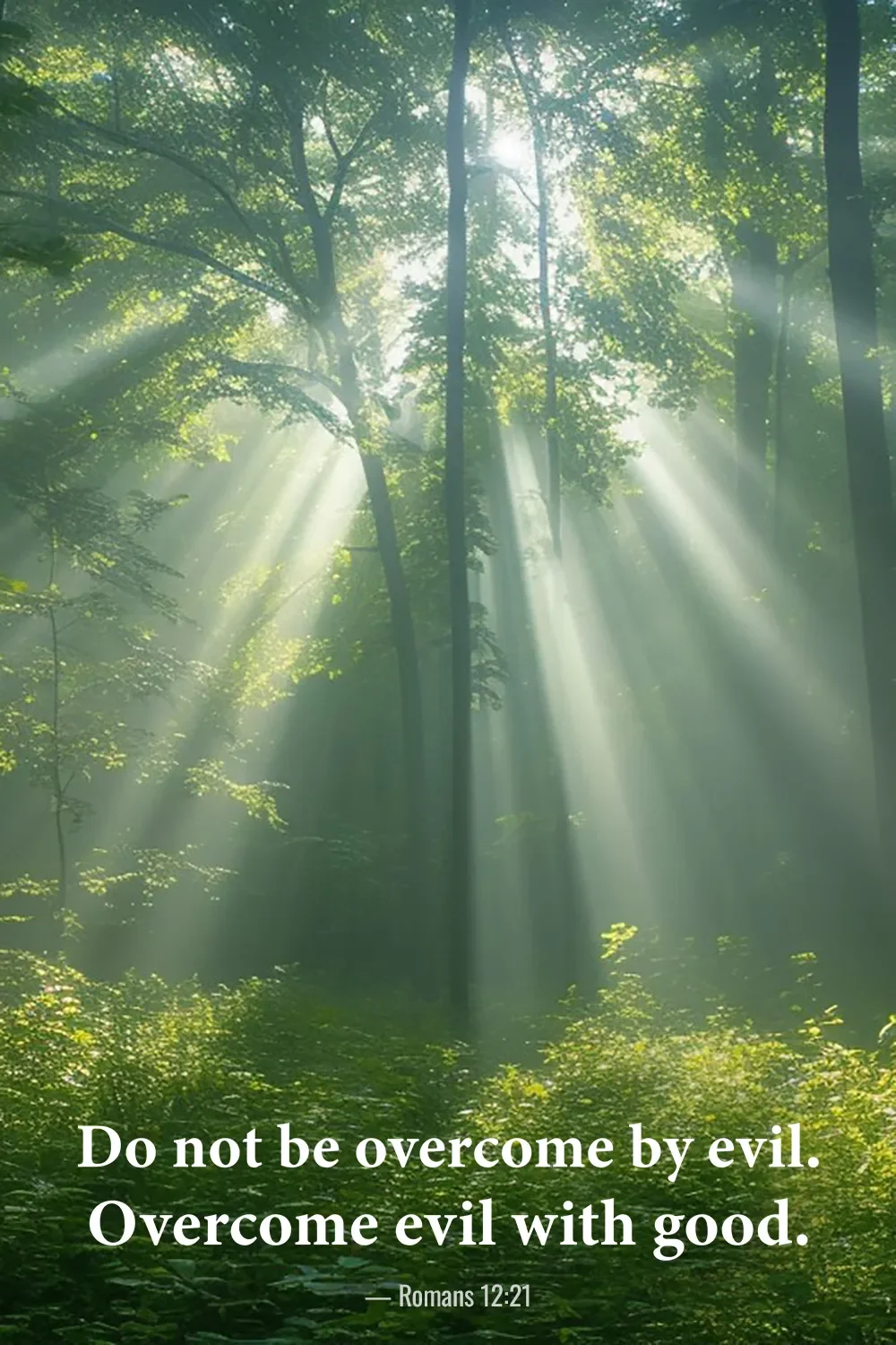 Romans 12:21 Bible verse with sunlight streaming through a forest symbolizing hope and goodness.