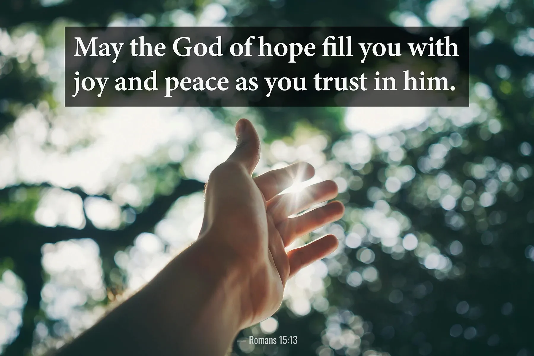 Romans 15:13 Bible verse with an outstretched hand toward sunlight symbolizing faith, joy and peace.