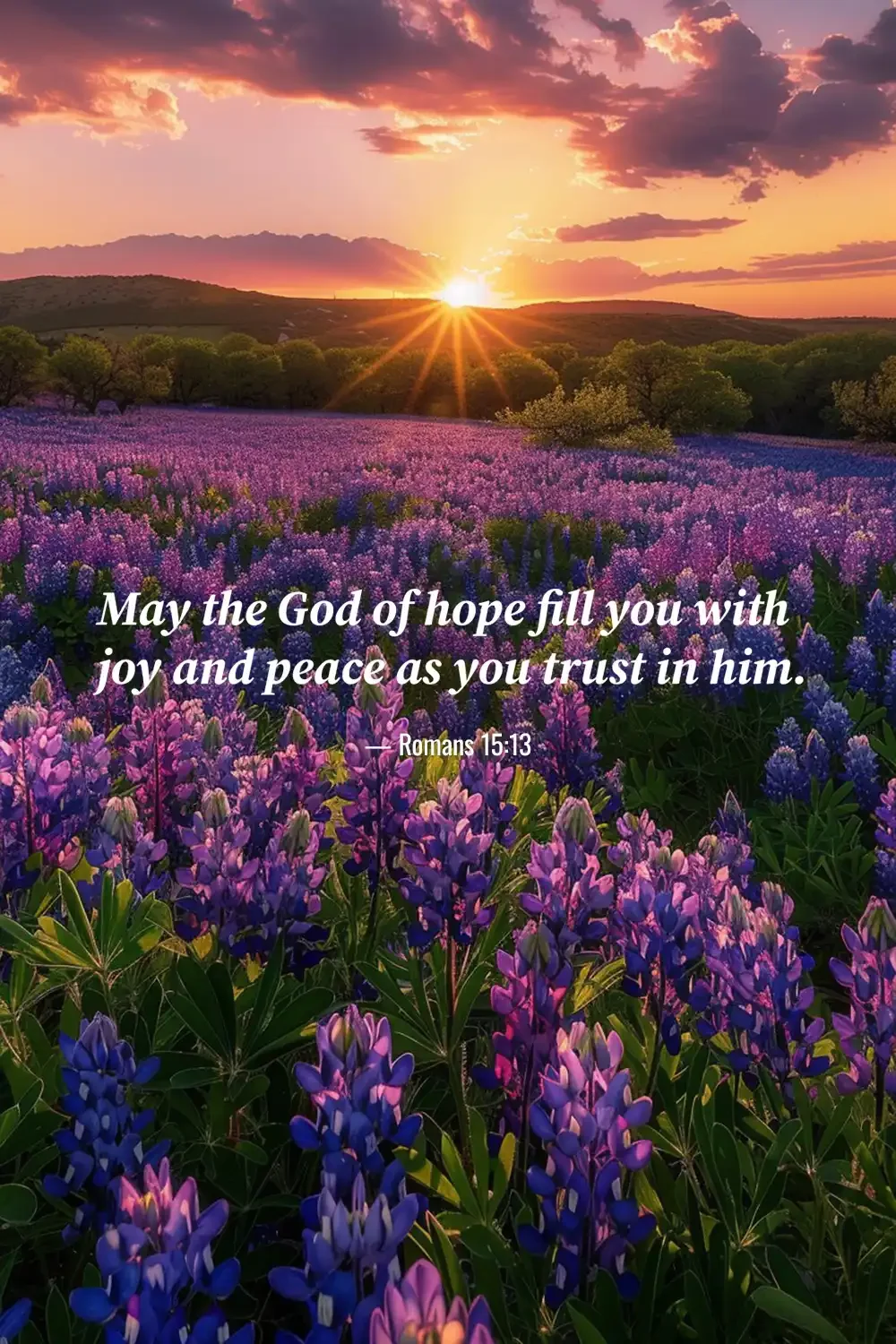 Romans 15:13 Bible verse over a blooming lavender field at sunset about hope, joy and peace through faith.
