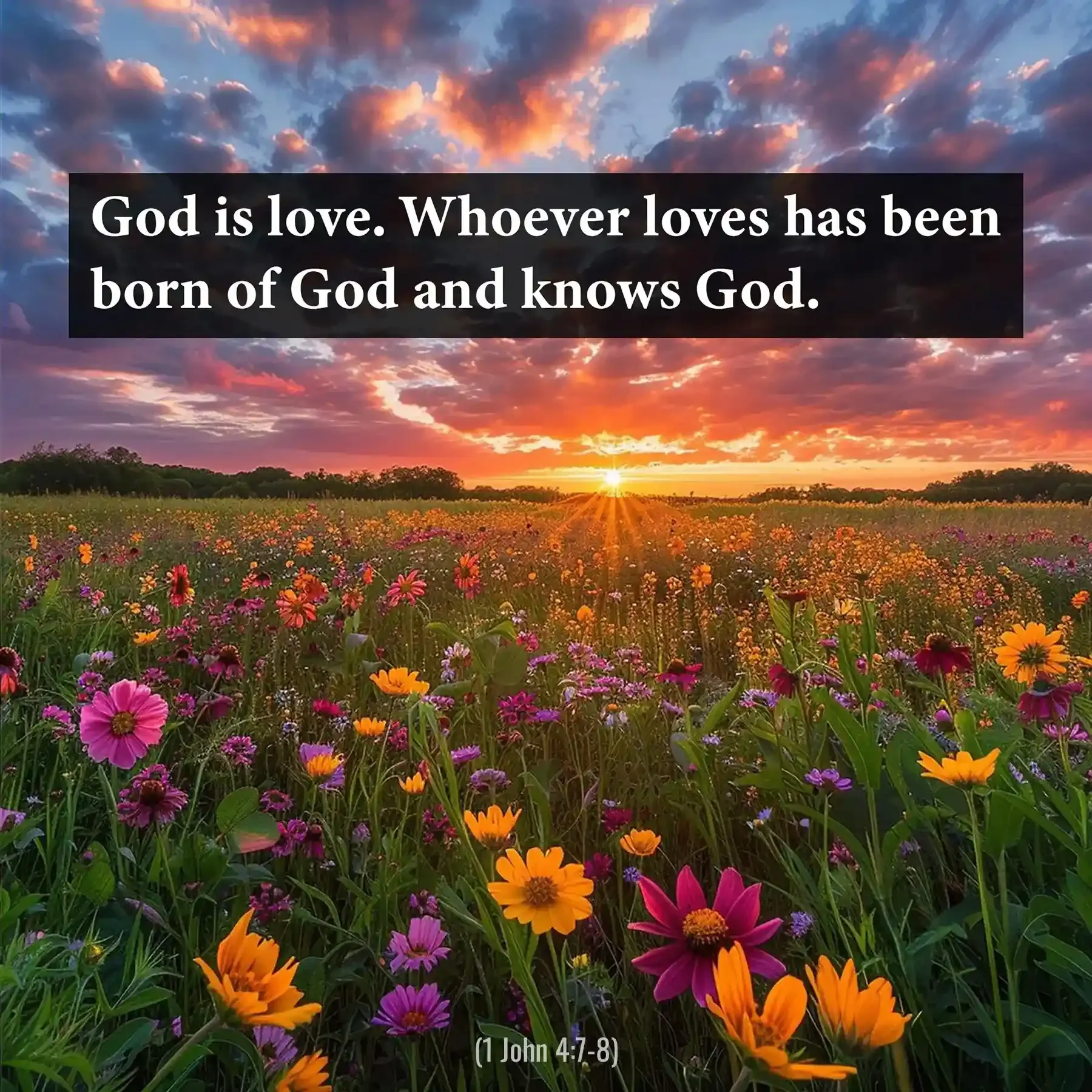 1 John 4:7 Bible verse over a colorful wildflower field at sunset declaring that God is love.