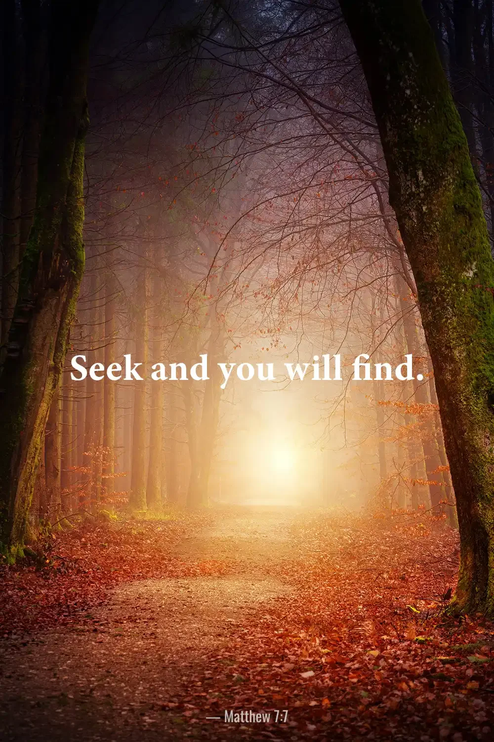 A glowing forest path with warm morning light displaying the Matthew 7:7 Bible verse, "Seek and you will find."