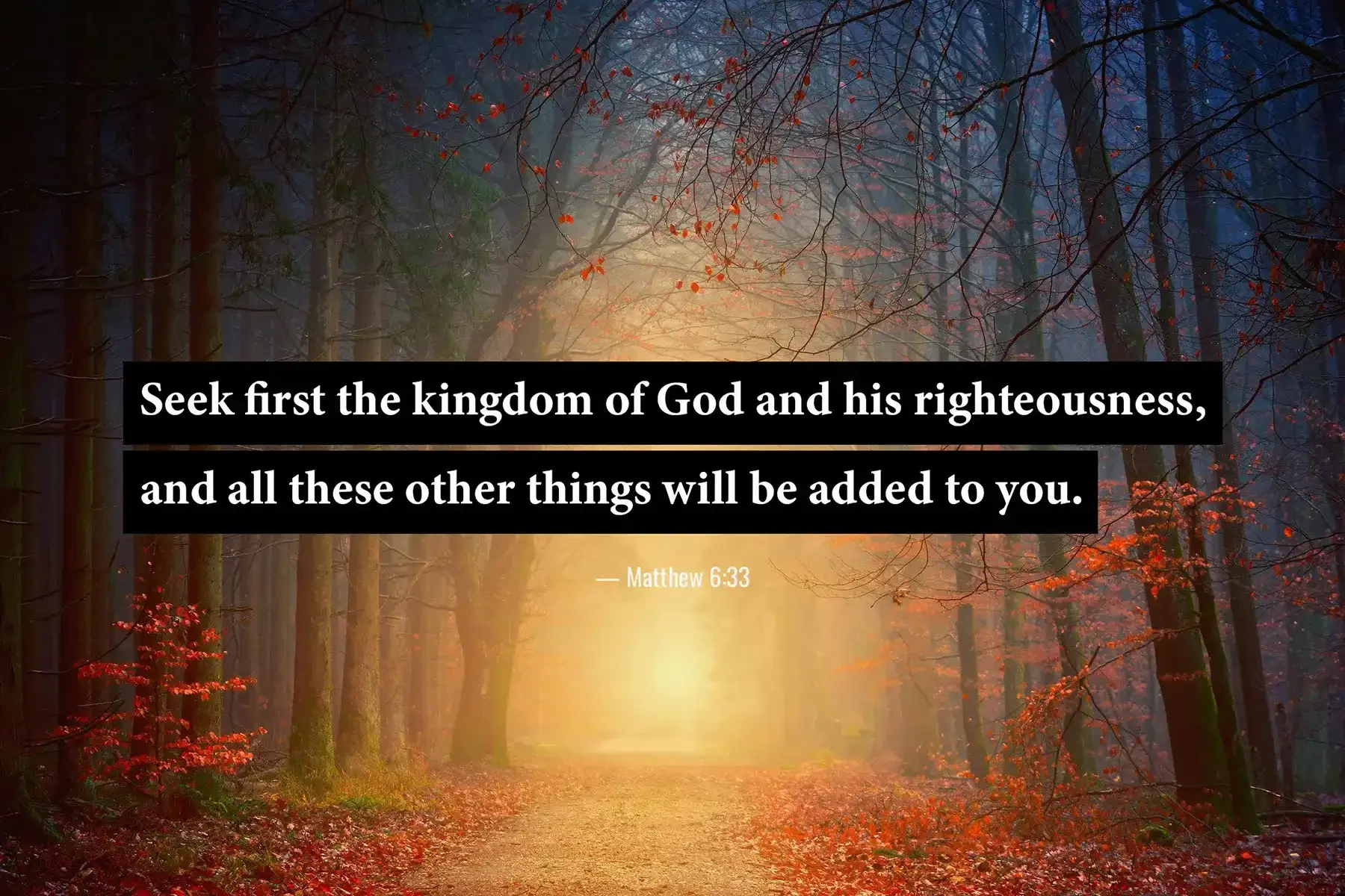Matthew 6:33 Bible verse along a glowing forest path encouraging believers to seek God's kingdom first.
