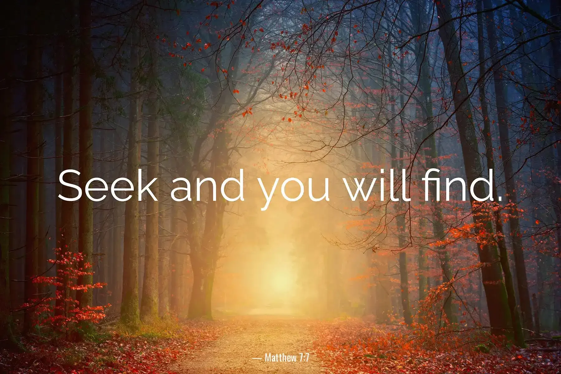 Matthew 7:7 Bible verse in autumn woods with warm light and message Seek and you will find.